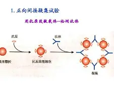 开云体育-包含?j?B?膞蹶Y/客襜0罕}?6槱???E	籑vLP現aT钄?宍^趂?€e?蔡Rjh?